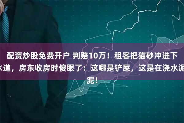 配资炒股免费开户 判赔10万！租客把猫砂冲进下水道，房东收房时傻眼了：这哪是铲屎，这是在浇水泥！