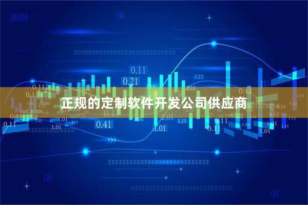 正规的定制软件开发公司供应商